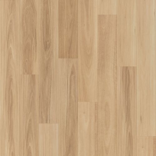 Marvel V509 Neutral Blackbutt